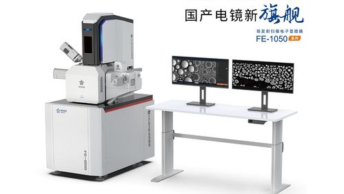 中国已成世界最大电镜市场,纳克微束聚力发展推动完善产业生态
